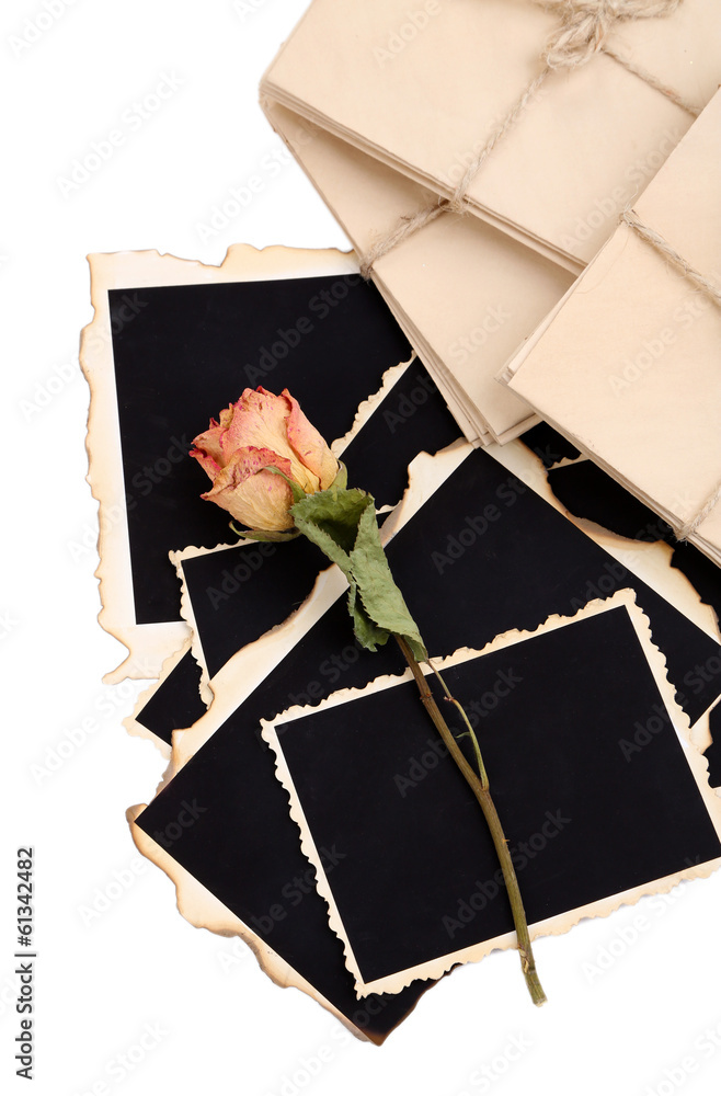 Blank old photos, letters and dried flower, isolated on white