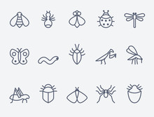 Insect Icon Set