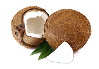 Sticker - Coconut with leaves on a white