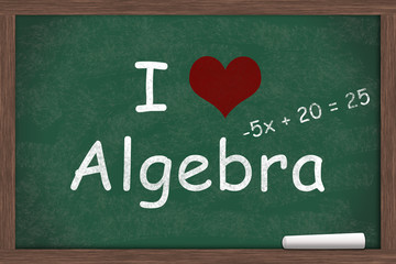 Wall Mural - I love Algebra