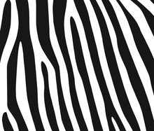 Zebra 1102