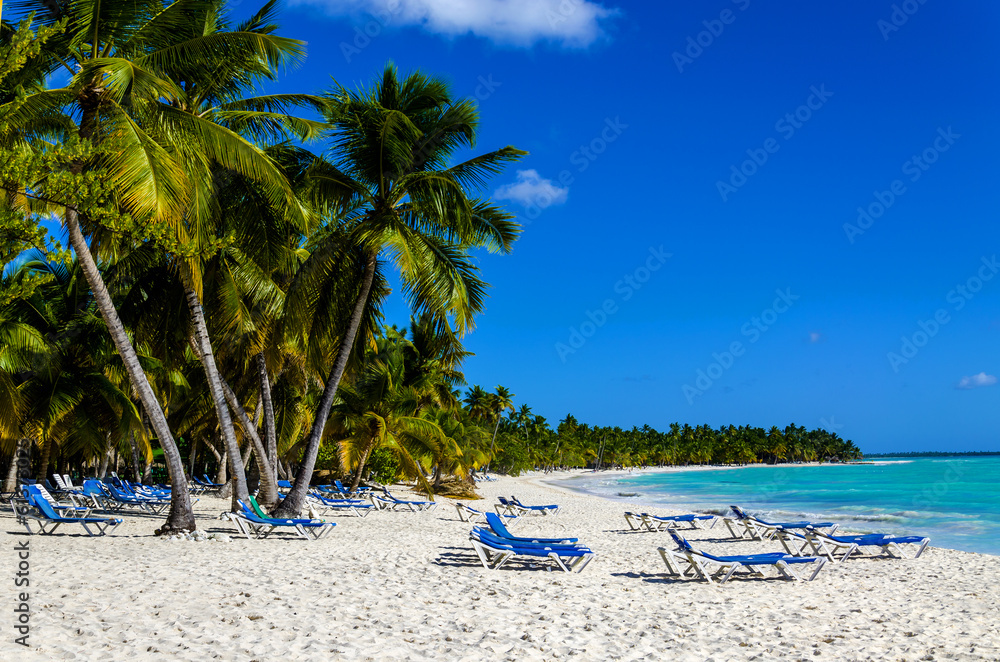 Exotic vacation in Dominican Republic. Palm trees, beach chairs - obrazy, fototapety, plakaty 