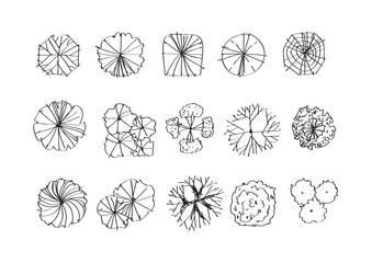 Trees top view for architecture landscape design projects