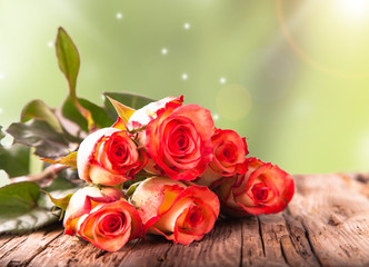 Red beautiful roses on wooden background 