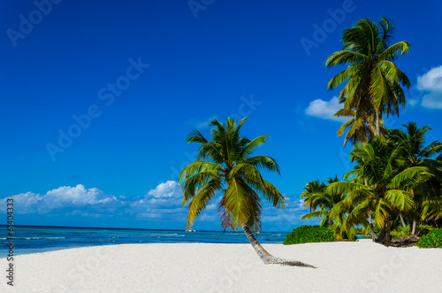 Board z aluminiowym obramowaniem Tropikalna piaszczysta plaża z palmami, Dominikana