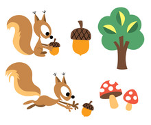 Squirrel & Acorn Design Elements