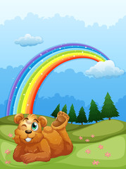 Poster - A bear at the hill with a rainbow in the sky