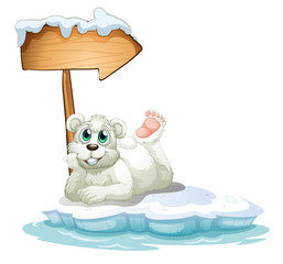 Poster - A smiling polar bear under the wooden arrow