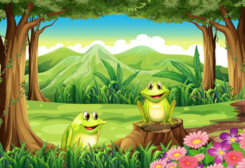 Poster - Two frogs at the forest