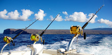Deep Sea Fishing In Hawaii