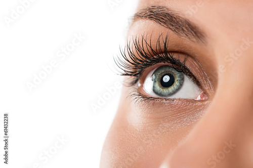 Fotografie, Obraz Close up of natural female eye isolated on white background