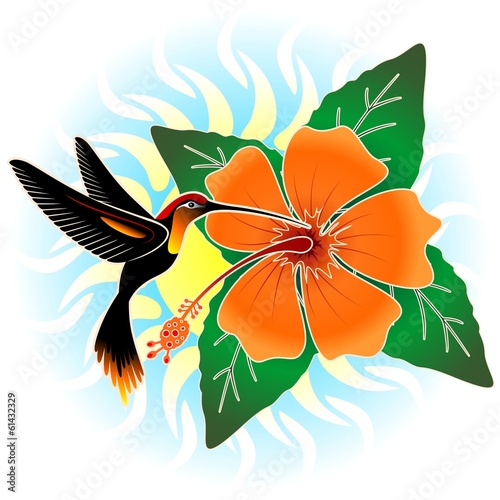 Board z aluminiowym obramowaniem Koliber i pomarańczowy hibiskus