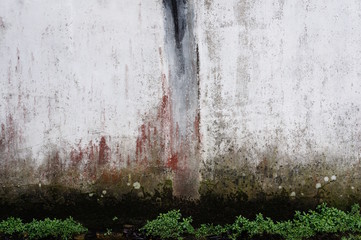 Wall Mural - Feuchter Sockelbereich einer Hauswand