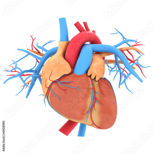 Naklejka na kafelki Model serca