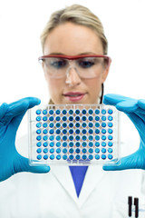 Wall Mural - portratit of young scientist looking a microplate