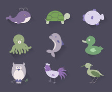 9 Flat Icon  Livestock, Marine Creatures, Birds