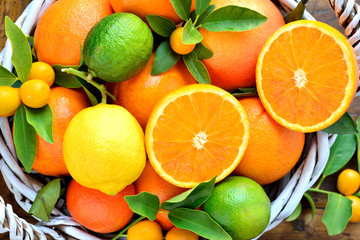 Wall Mural - Citruses, oranges, lemon,grapefruit, lime, mandarin, kumquats