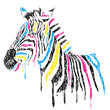 Vector zebra with colored stripes, sketch style