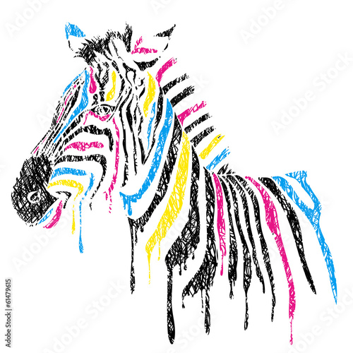 Board z aluminiowym obramowaniem Wektor zebra w kolorowe paski, styl szkicu