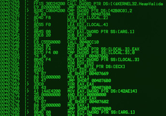 assembler source code