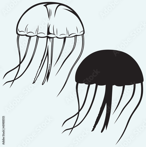 Board z aluminiowym obramowaniem Jellyfish samodzielnie na niebieskim tle