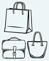 Canvas Print - Paper bag and handbag