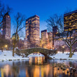 Gapstow bridge in winter, Central Park