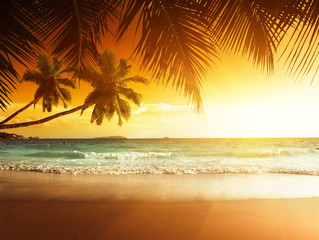 Fotobehang - sunset on the beach of caribbean sea