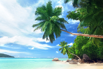 Canvas Print - beach on Mahe island, Seychelles