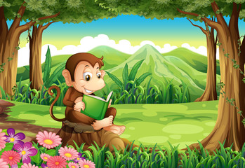 Poster - A happy monkey sitting above the stump while reading