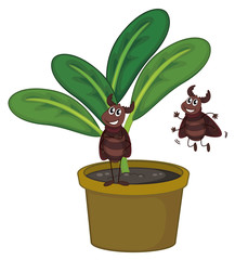 Poster - A plant with two playful insects