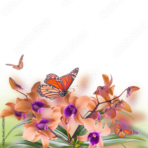 Naklejka - mata magnetyczna na lodówkę Floral background of tropical orchids and butterfly