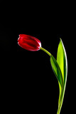 160_f_61539052_ddykh0aiuqqbvtkj2oqg1lgwqdrb38cx