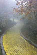 Yellow Brick Road Beech Mountain, North Carolina