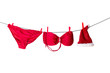 Drying red bikini of sexy santa helper on a clothes line
