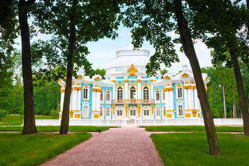 Wall Mural - Palace in the park of Pushkin, Russia