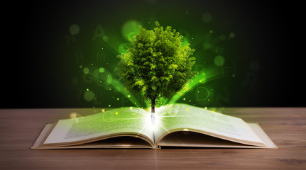 Wall Mural - Open book with magical green tree and rays of light