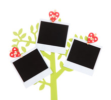 Holder In Form Of Tree With Instant Photo Cards Isolated