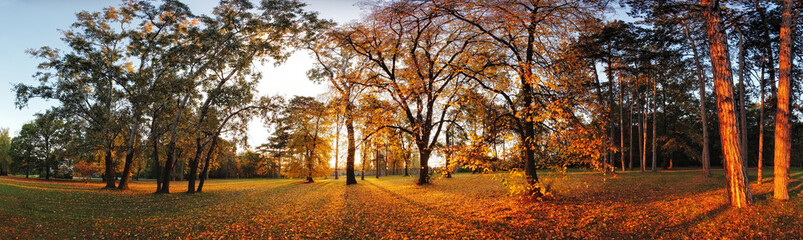 Aufkleber - Autumn panorama in park