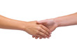 Isolated women handshake