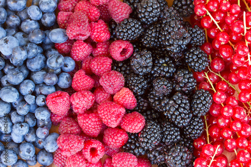 Nowoczesny obraz na płótnie rows of fresh berries on table