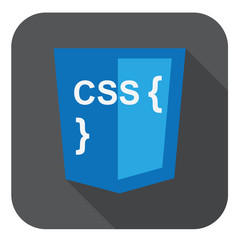 Wall Mural - vector illustration of blue shield with css style and curves on
