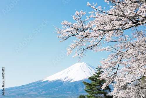 Naklejka samoprzylepna Sceneria Mt Fuji i czereśniowi okwitnięcia