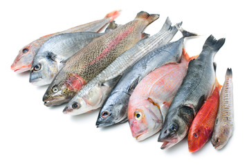 seafood isolated on white background