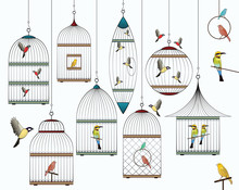 Birds And Birdcages Collection