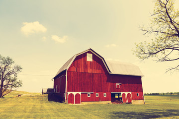 Wall Mural - American Farmland With Blue Cloudy Sky