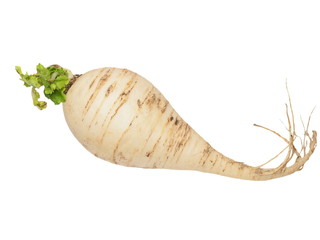 Wall Mural - fresh turnip with leaves isolated on white