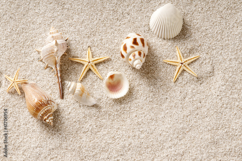 Tapeta ścienna Plaża Seashell