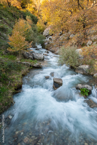 Naklejka samoprzylepna Strumyk w lesie w Epirus, Grecja