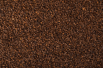 a lot of coffee beans